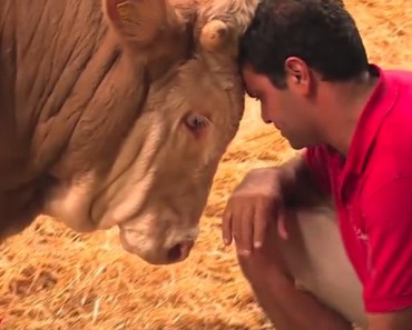 He Has Been Chained and Neglected All His Life. Look At His Reaction When He Is Rescued!