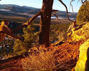 Two Men Found A Cougar Stuck In A Trap. It’s Amazing What They Do Next!