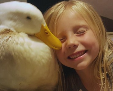 Girl Forms Special Bond With A Duck!