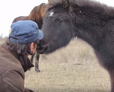 THIS Horse Is So Grateful To His Savior! THIS Horse Is So Grateful To His Savior!