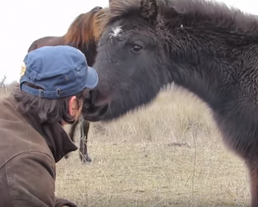 THIS Horse Is So Grateful To His Savior!