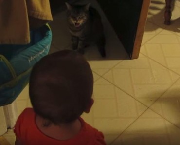 The Cat And The Baby Have An Unique Morning Ritual!