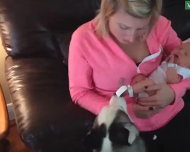 Piper Meets Lily, The Newest Member Of The Family! Piper Meets Lily, The Newest Member Of The Family!